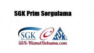 SGK Prim Sorgulama